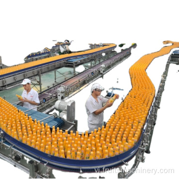 Dòng sản xuất chế biến dừa cam tươi màu cam tươi